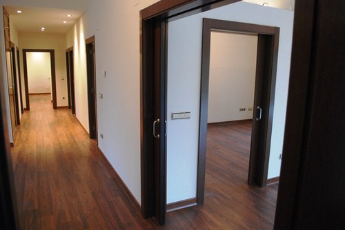 Pasillo y salon